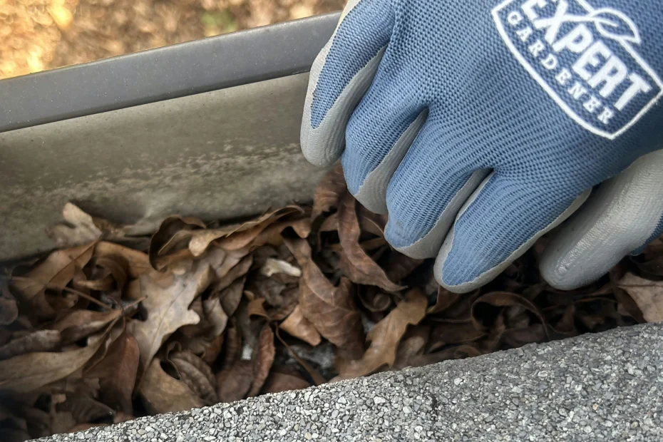 Gutter Cleaning Bee Cave, TX