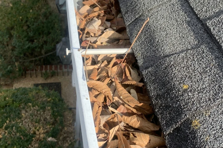 Gutter Cleaning Bee Cave, TX